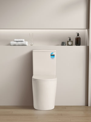 Avis KDK022R-MW Rimless Toilet Matt White