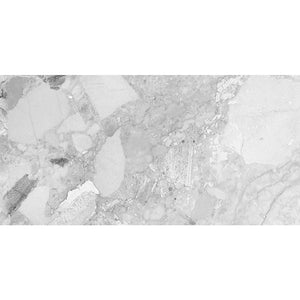 HF Terrazzo Light Matt FINISH 300X600MM