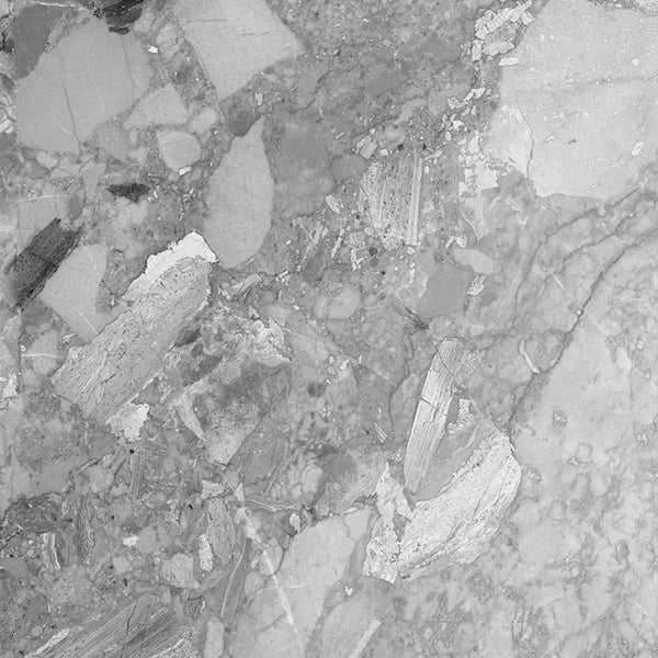 HF Terrazzo Medium Matt FINISH 600X600MM