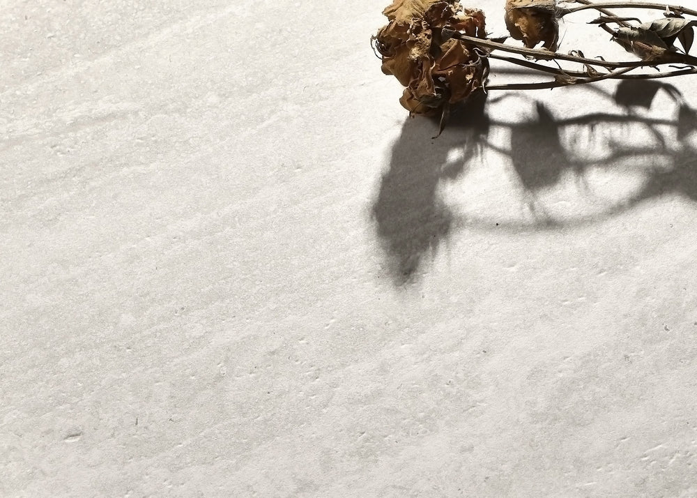 T/TVCWM3060 ENTIVA TRAVERTINE VEIN CUT WHITE MATT P4 300*600 REC.