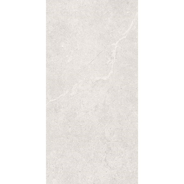 T/BEBOG60120 ENTIVA BERLIN BONE MATT 600*1200 REC.