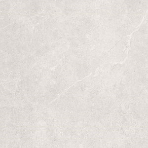 T/BEBOL6060 ENTIVA BERLIN BONE LAPPATO 600*600 REC.