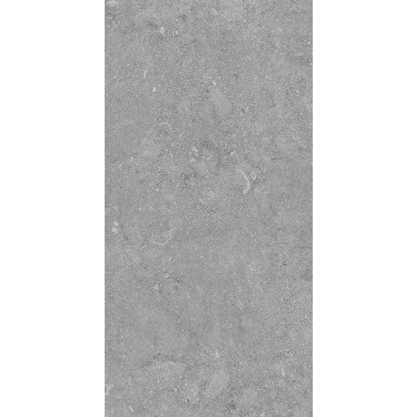 36JURGYM JR6304 JURA GREY MATT P3 300X600