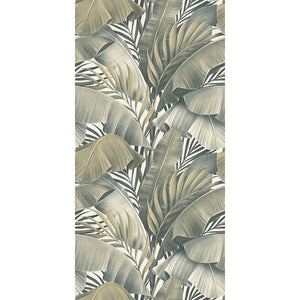 36PCOGNS YPC26355A PALM COVE GREEN DECOR 300X600