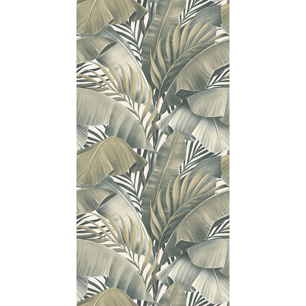 36PCOGNS YPC26355A PALM COVE GREEN DECOR 300X600
