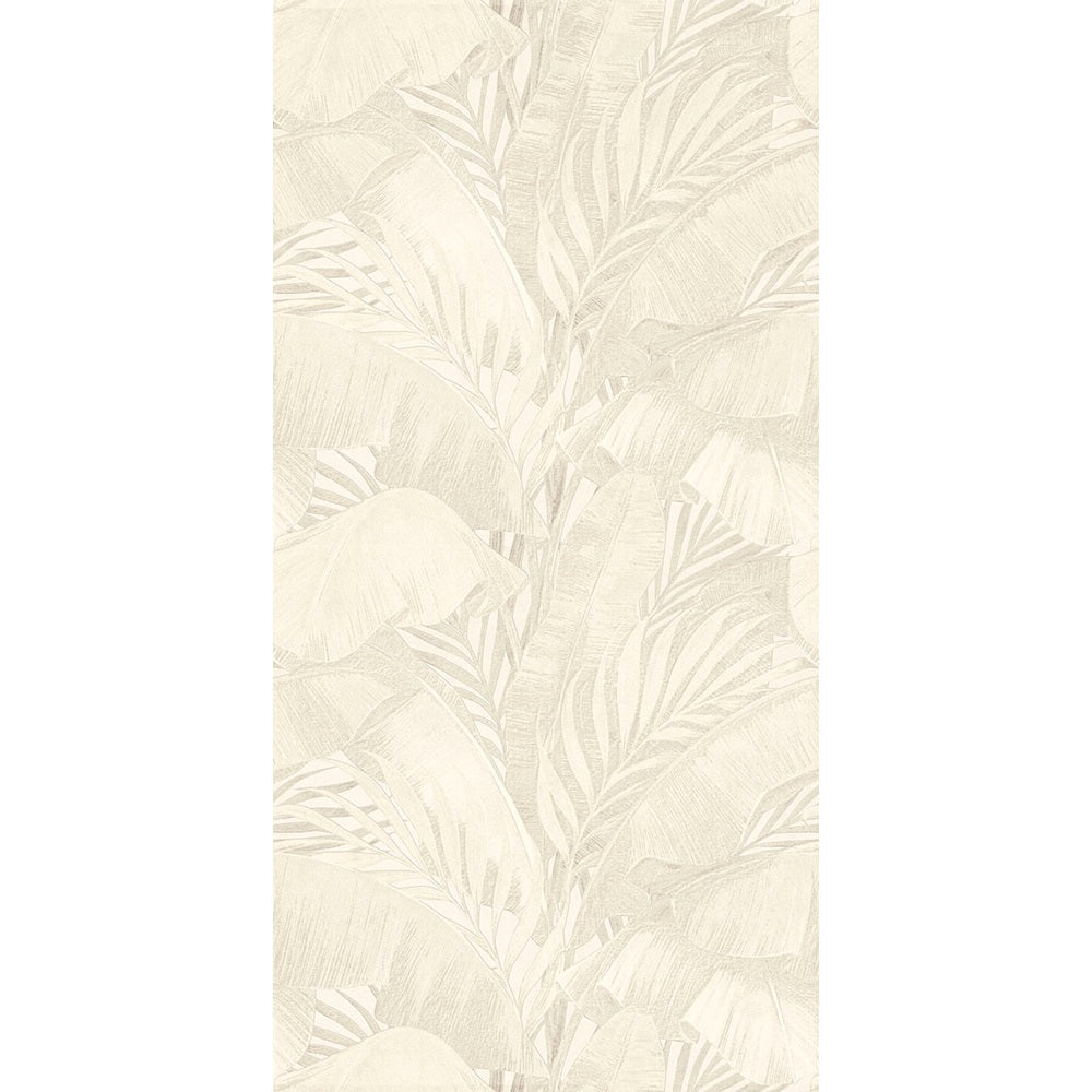 "	36PCOWHS YPC21055A PALM COVE OFF-WHITE DECOR 300X600"