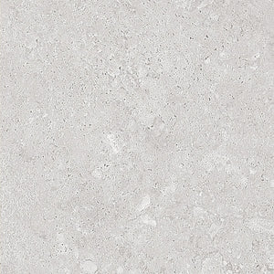 Tuscany Silver Honed 600x600mm