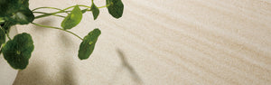 Pyrmont Sandstone P5 300x600mm