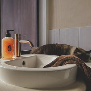 MECCA BASIN MIXER BRUSHED BRONZE (NR221901BZ)