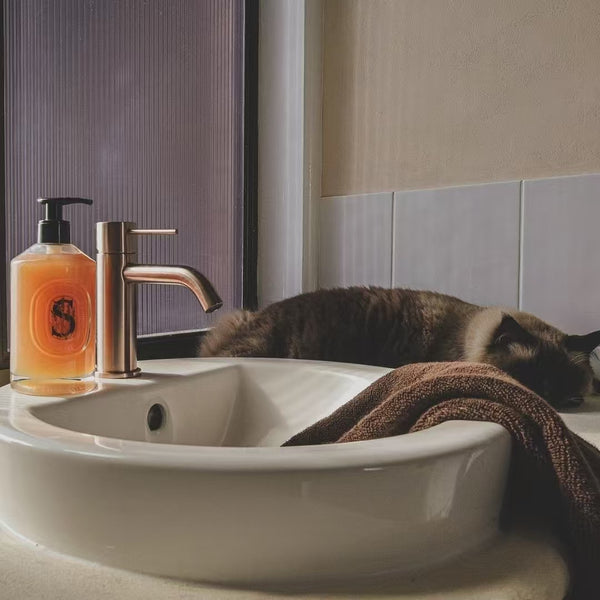 MECCA BASIN MIXER BRUSHED BRONZE (NR221901BZ)