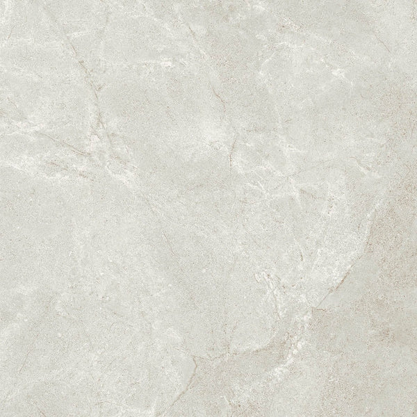 VT-660R713 ORBAT GREY 600X600MM MATT P4