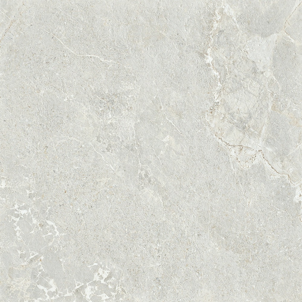 6ARDSVH ADSH6021 ARDESIA SILVER HONED 600X600