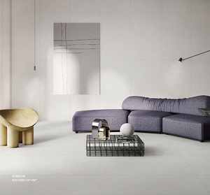 VICTILES BARSOOM 600X600mm Matt Porcelian Tile - White