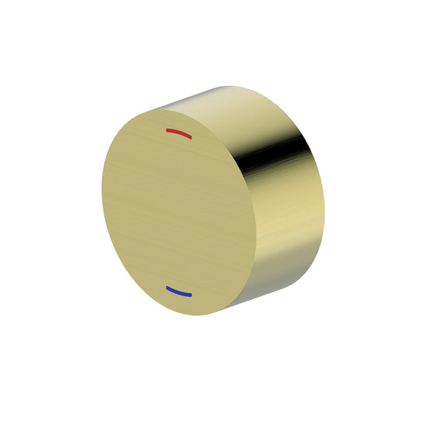 WT 2008BB VIVO Wall Mixer with Progressive Cartridge in Brushed Brass