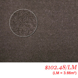 Chaparral Apartment Donkey