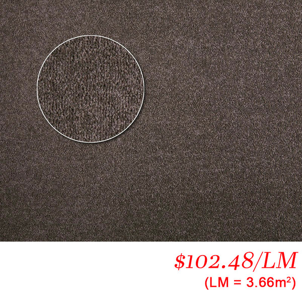 Chaparral Apartment Donkey