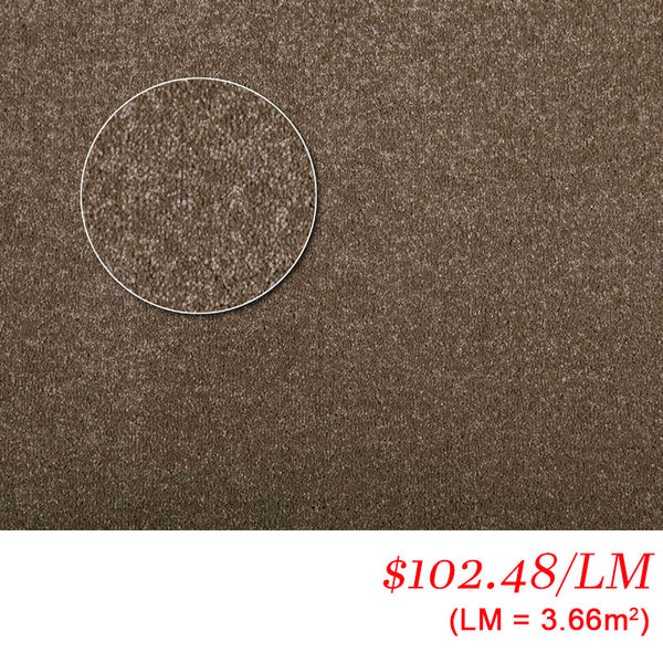 Chaparral Apartment Fox