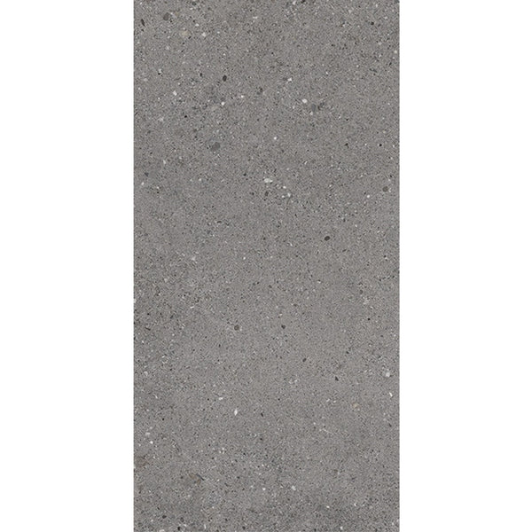 Everstone Frammenti Matt Finish 300x600mm Made in Italy - Fumo