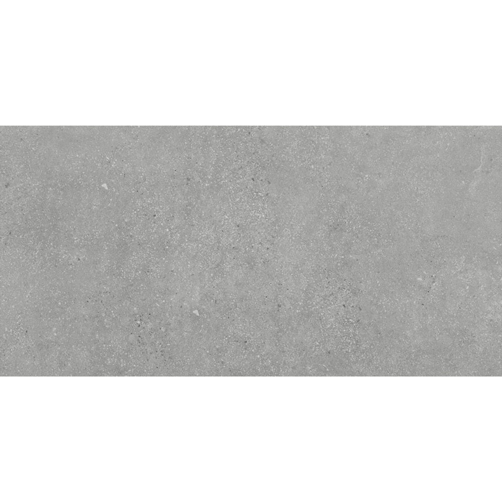 GAL GRY36M GALAXY GREY 300x600MM MATT