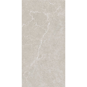 JS3604GM 300x600 Jasper Grey GriMatt (In&Out)