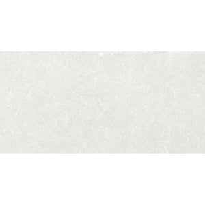 PLAWHI3060M PLAZZO WHITE MATT 300x600mm
