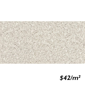 T/TERBEMTM3060	ENTIVA TERRAZZO BEIGE MATT 300*600mm REC.