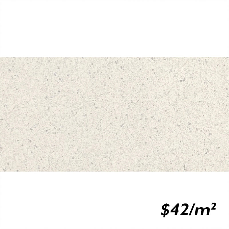 T/TERWHMTM3060 ENTIVA TERRAZZO WHITE MATT 300*600mm REC.
