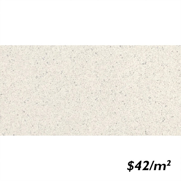 T/TERWHMTM3060 ENTIVA TERRAZZO WHITE MATT 300*600mm REC.