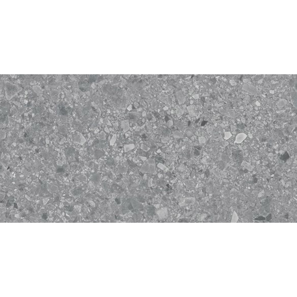 TER GRY36M SWC TERRAZZO GREY 300X600MM MATT R10