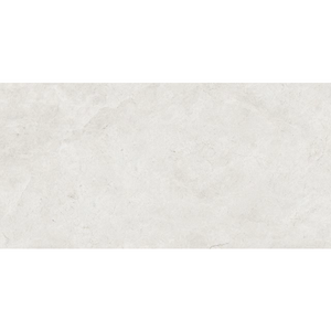 Tundra White Gloss 300x600mm