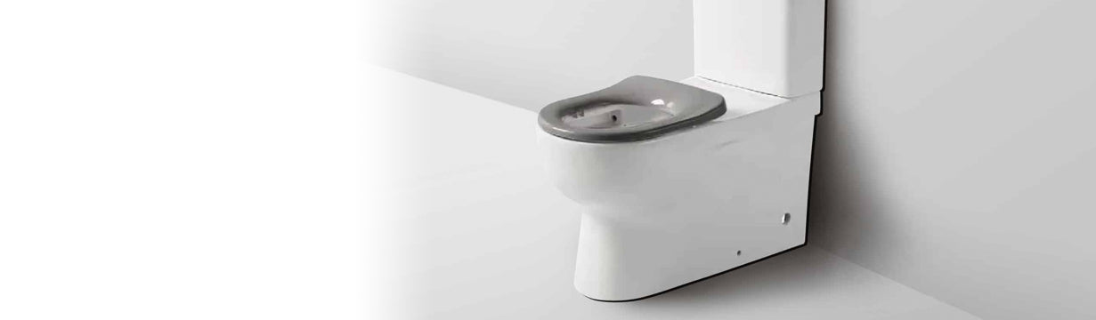 Disabled Toilet