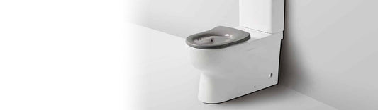 Disabled Toilet