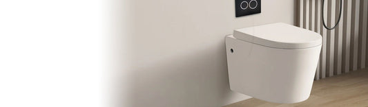 Inwall Toilets