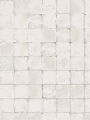 12TIMWHG 61227 TIMEWORN WHITE GLOSS 100X200MM
