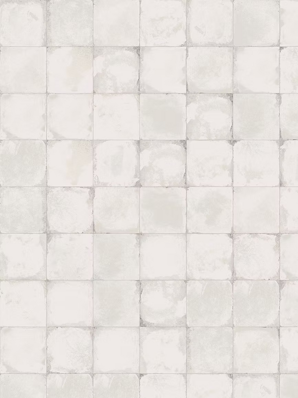 12TIMWHG 61227 TIMEWORN WHITE GLOSS 100X200MM