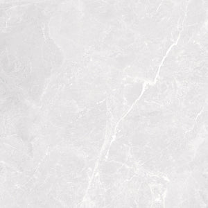 HF Apex Silver Matt FINISH 600X600MM