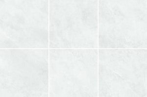 HF Ionic Silver Polished FINISH 600X600MM