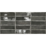 189186 ATLANTIQUE CHARBON 69X240