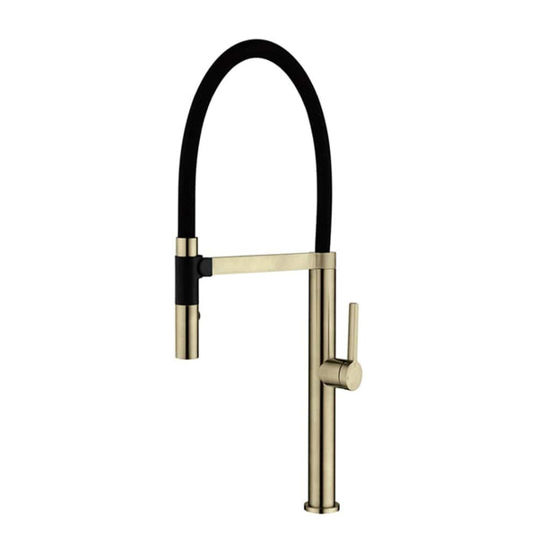 ZENMO Mixer Taps WT 6205BB  ROMEO Sink Mixer with Vegie spray & magnetic holder in Brushed Brass