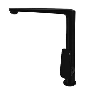 WT 1103MK  EXON Sink Mixer in Matt Black