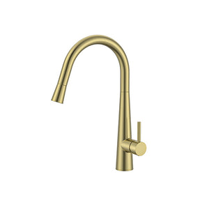 WT 4122BB  JESS Goose Neck Sink Mixer in Brushed Brass
