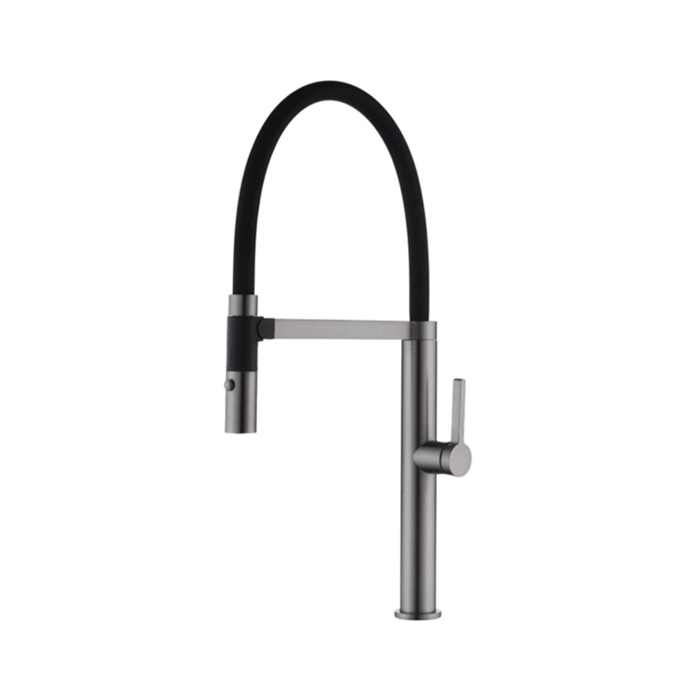 WT 6205GM  ROMEO Sink Mixer with Vegie spray & magnetic holder.