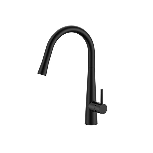 WT 4122BK  JESS Goose Neck Sink Mixer in Matt Black