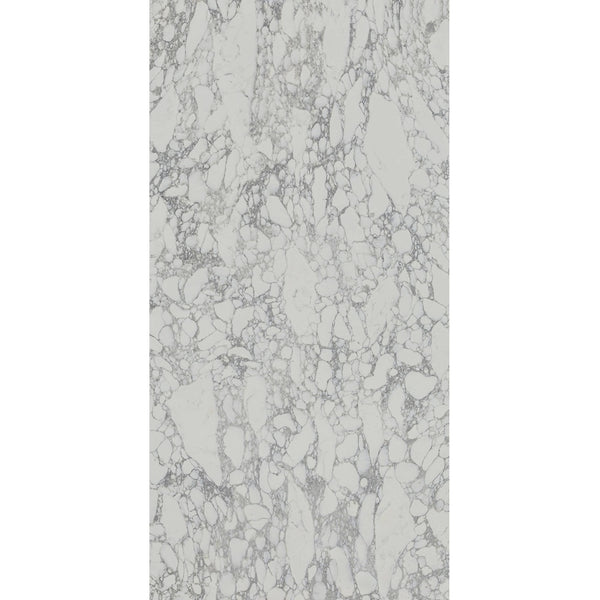 Opulence Collection - SSOP01 ARABESCATO CORCHIA 3200x1600x12mm Polished Finish