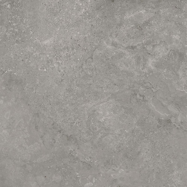 DSS Tile 20MM017 20MM TRAVERPRO GREY EXT PAVER 600X600X20MM R11 TR05CH