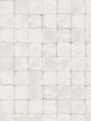 GNS Tile 2TIMWHG 61236 TIMEWORN WHITE GLOSS 200X200MM