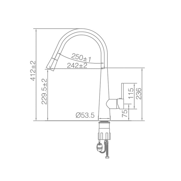 WT 4122BB  JESS Goose Neck Sink Mixer in Brushed Brass