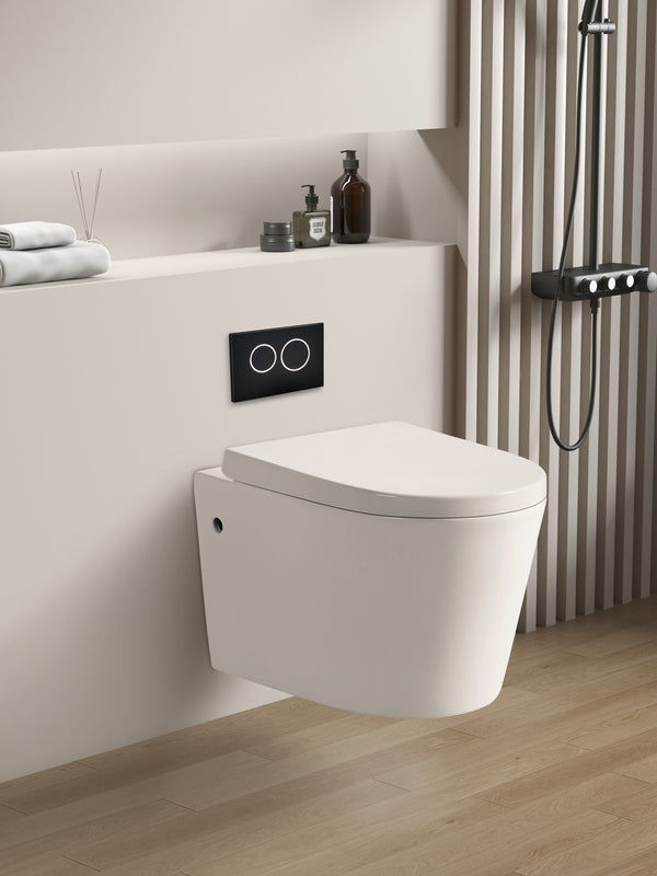 R&T In-Wall Wall Hung Toilet Suite