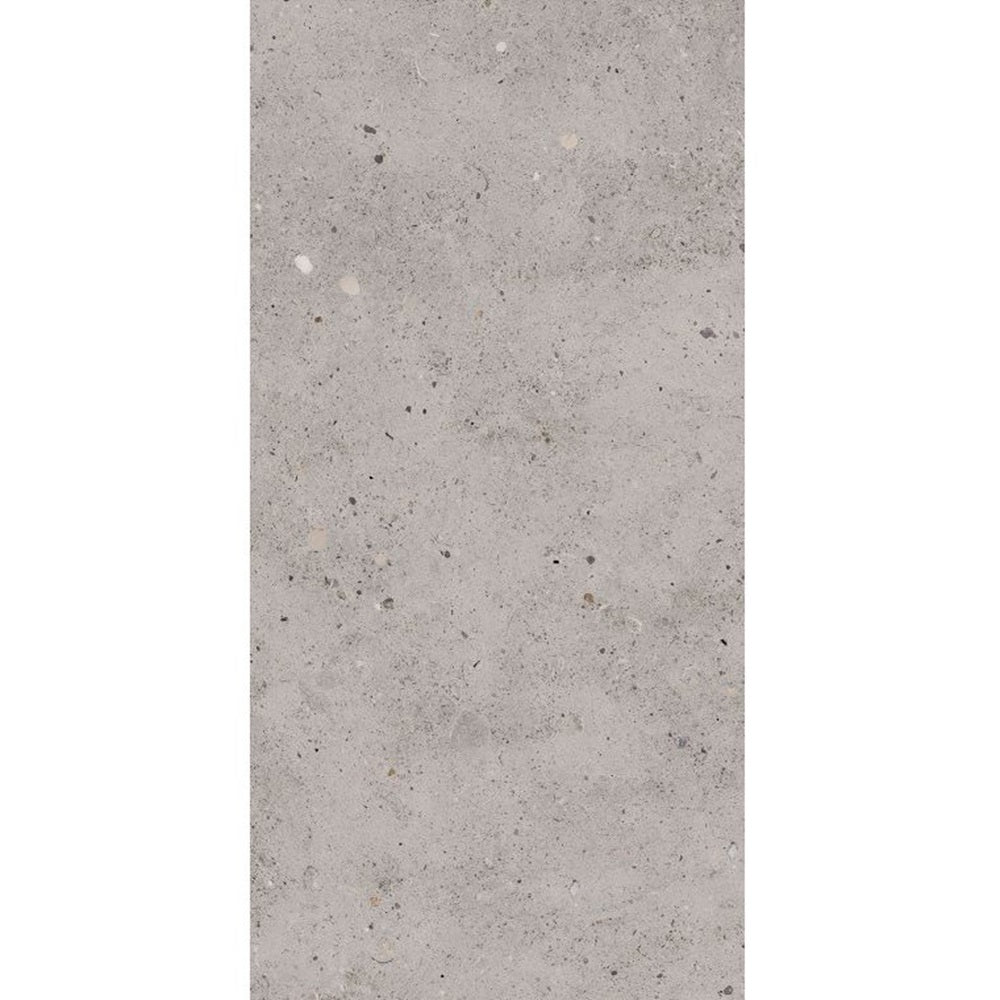 T/CAICM3060 ENTIVA CALONIS ICE MATT P3 300*600 REC.