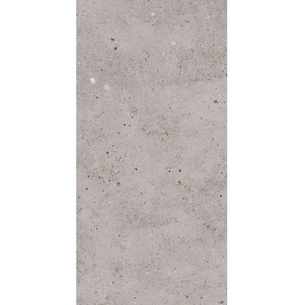 T/CAICM3060 ENTIVA CALONIS ICE MATT P3 300*600 REC.
